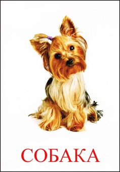 Щербаков Артём Юрьевич